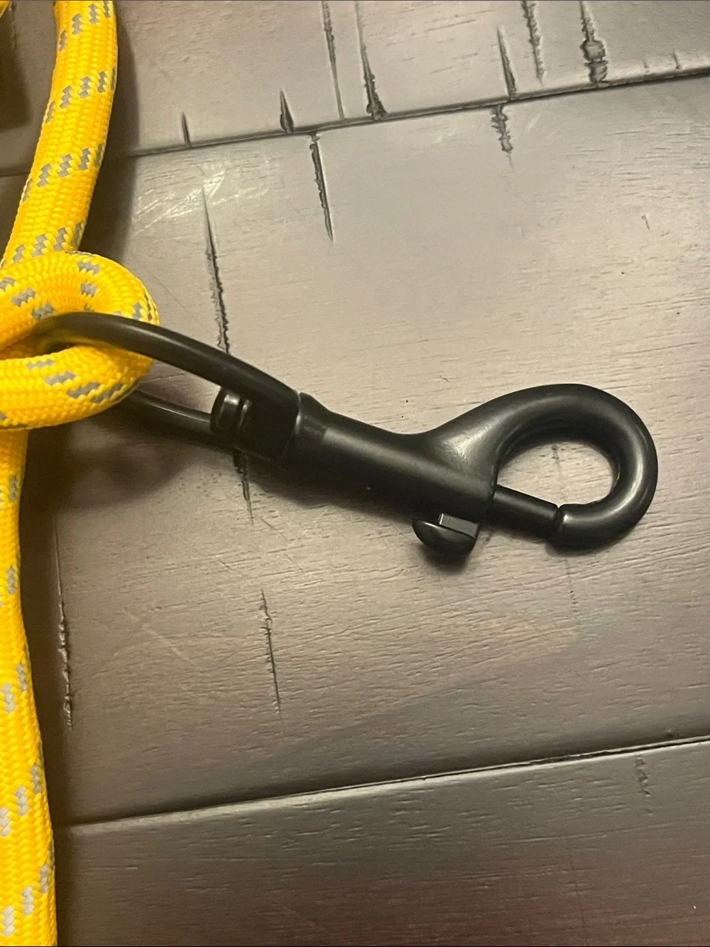 The North Face Dog Pet Leash 60” + Collapsible Travel Bowl Summit Gold new